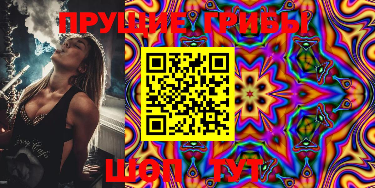 Галлюциногенные грибы MAGIC MUSHROOMS  Псилоцибиновые грибы ЛСД  Новосибирск  Вход с VPN 